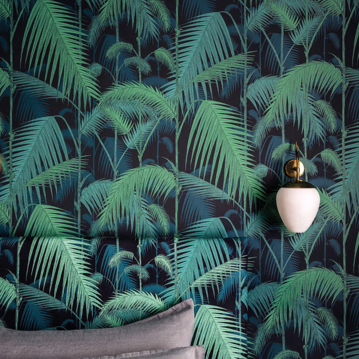 Tropical jungle trees 1080P, 2K, 4K, 5K HD wallpapers free download |  Wallpaper Flare